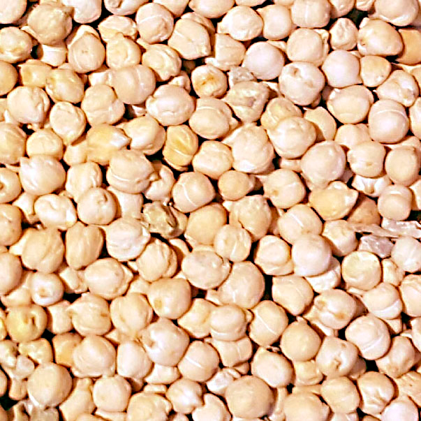 garbanzos_CUADRADOS